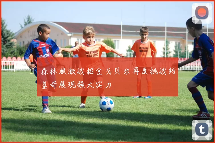 森林狼激战掘金戈贝尔再度挑战约基奇展现强大实力