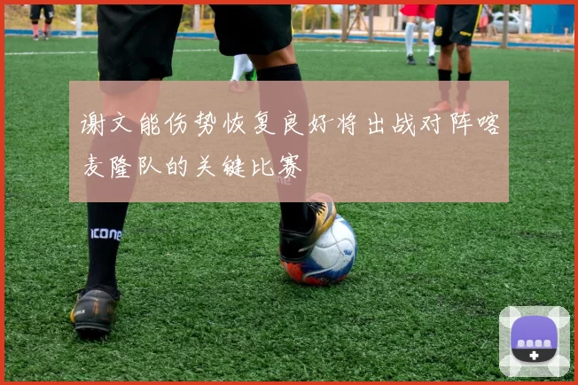 谢文能伤势恢复良好将出战对阵喀麦隆队的关键比赛